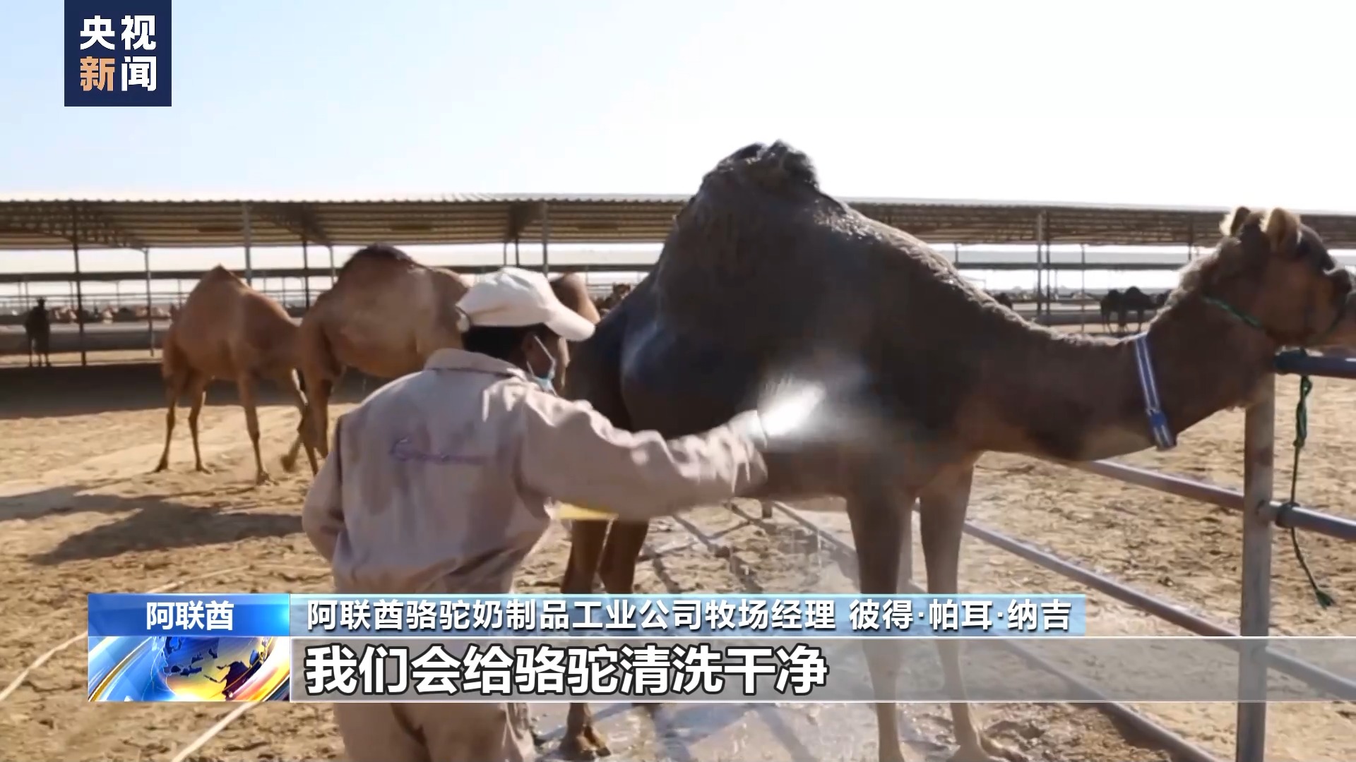 pg电子模拟器(试玩游戏)官方网站中国大市场 世界大机遇丨沿着“一带一路”而来(图6)