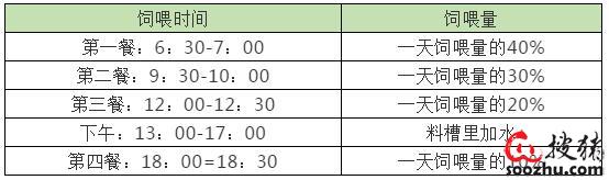 pg电子模拟器有效缓解夏季猪群热应激的5种方法(图4)