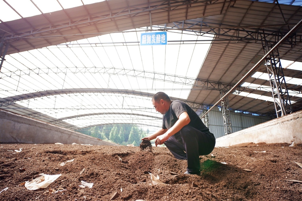 pg电子模拟器(试玩游戏)官方网站串起循环产业链清山汉子发“牛财”(图2)