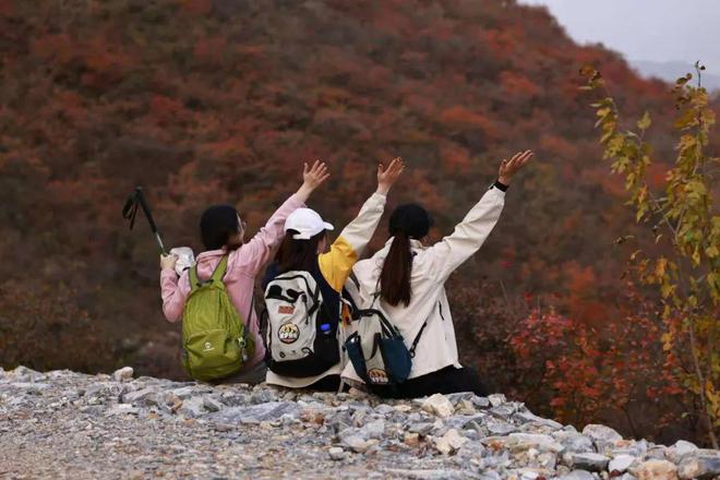 pg电子模拟器试玩游戏国产冲锋衣不必成为始祖鸟平替(图2)