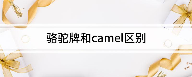 pg电子模拟器骆驼牌和camel区别